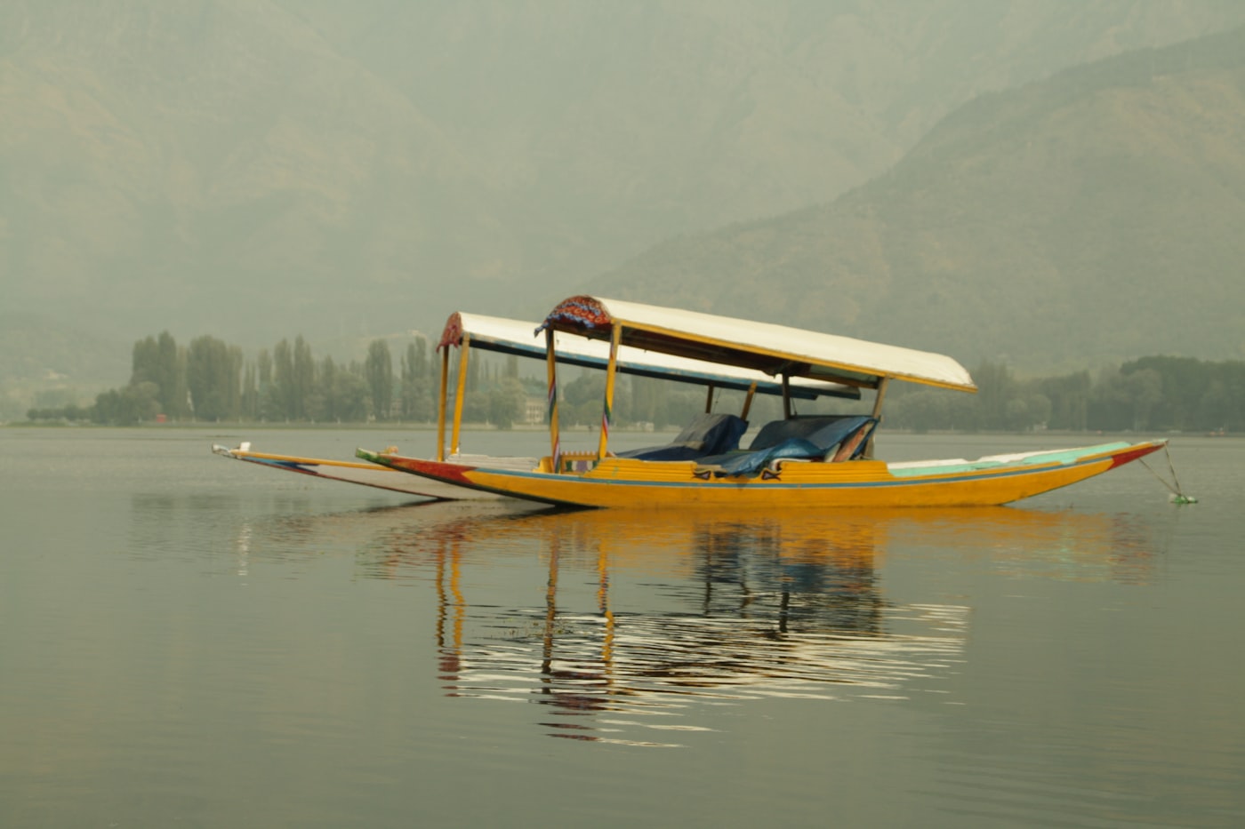 Shikara boats resting on Dal Lake in Kashmir