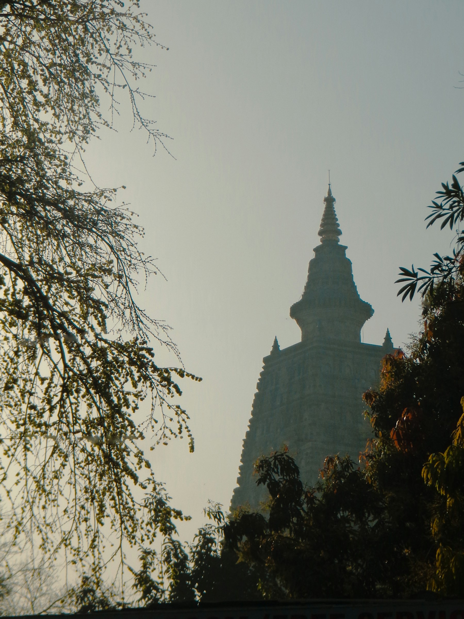 Mahabodhi Temple rising between green trees in Bodh Gaya